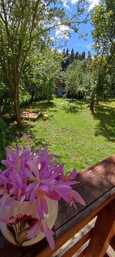 Cottage In Traditional Village Bradulet, Arges County Exterior foto