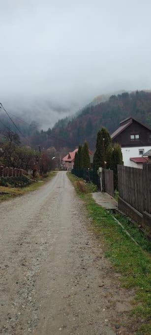Cottage In Traditional Village Bradulet, Arges County Exterior foto