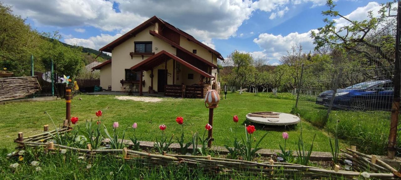 Cottage In Traditional Village Bradulet, Arges County Exterior foto