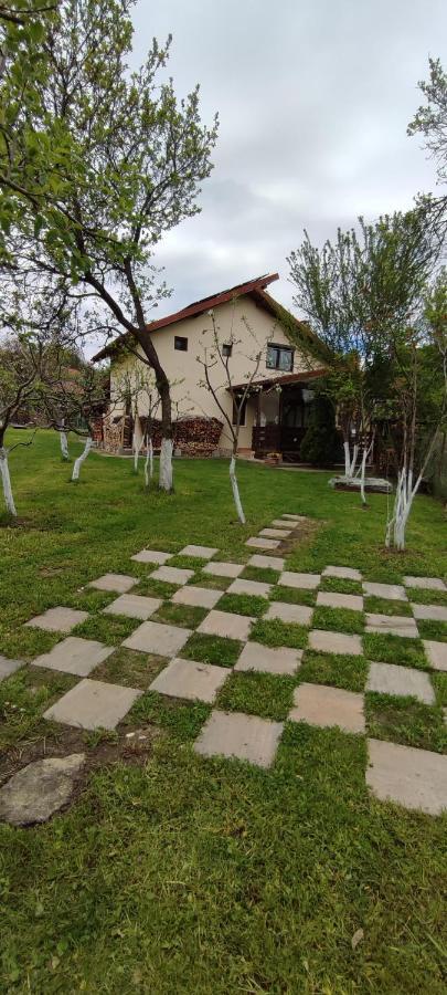 Cottage In Traditional Village Bradulet, Arges County Exterior foto
