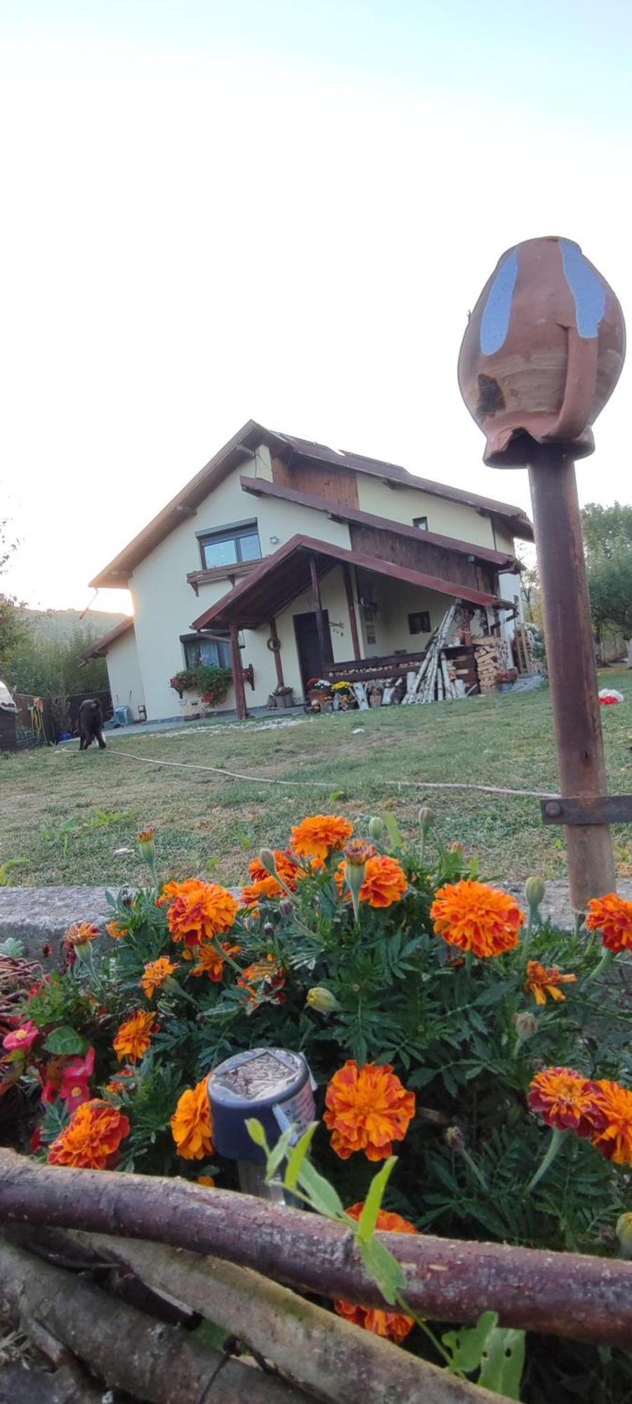 Cottage In Traditional Village Bradulet, Arges County Exterior foto