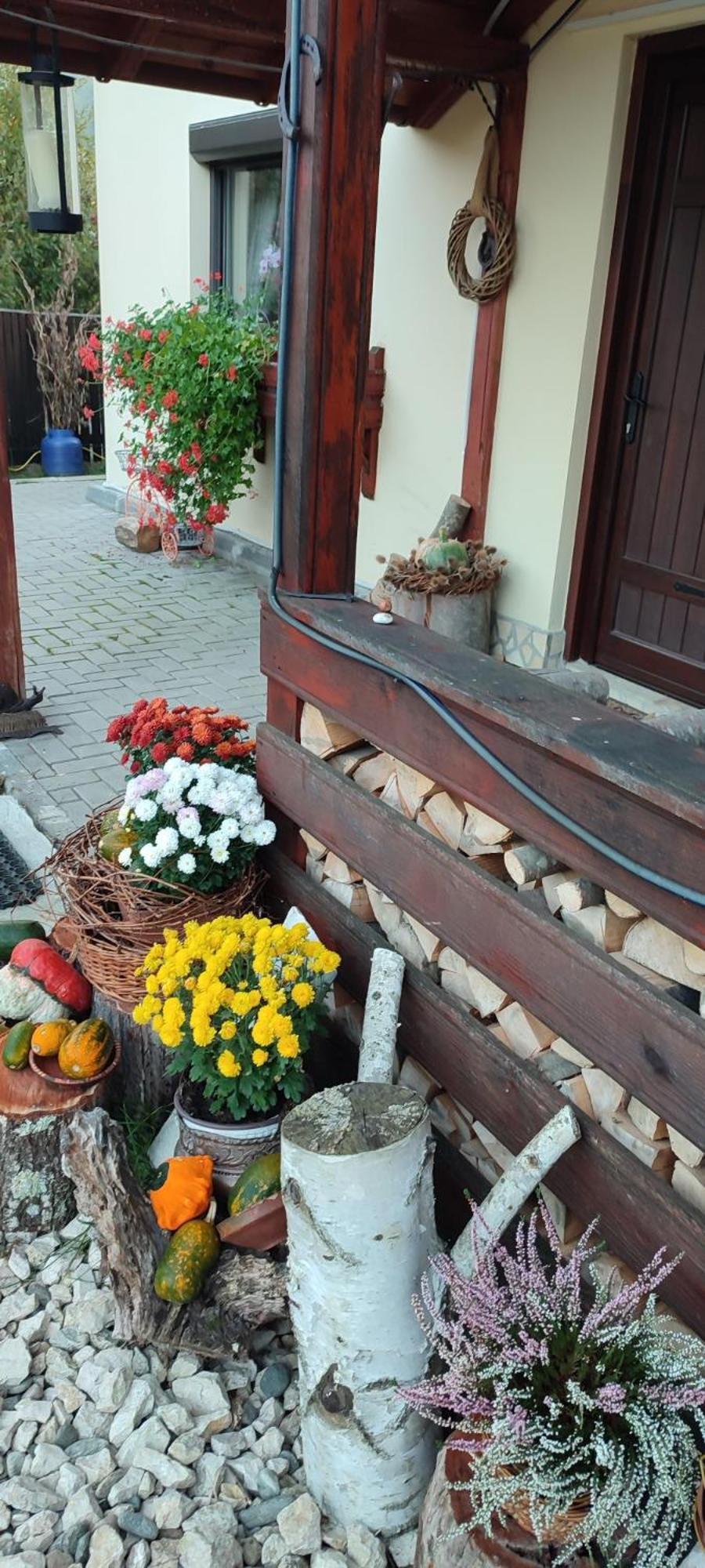Cottage In Traditional Village Bradulet, Arges County Exterior foto