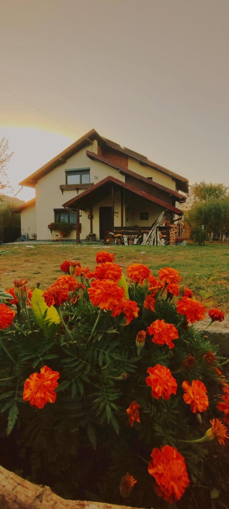 Cottage In Traditional Village Bradulet, Arges County Exterior foto